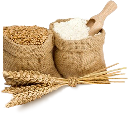 Flour PNG-22423